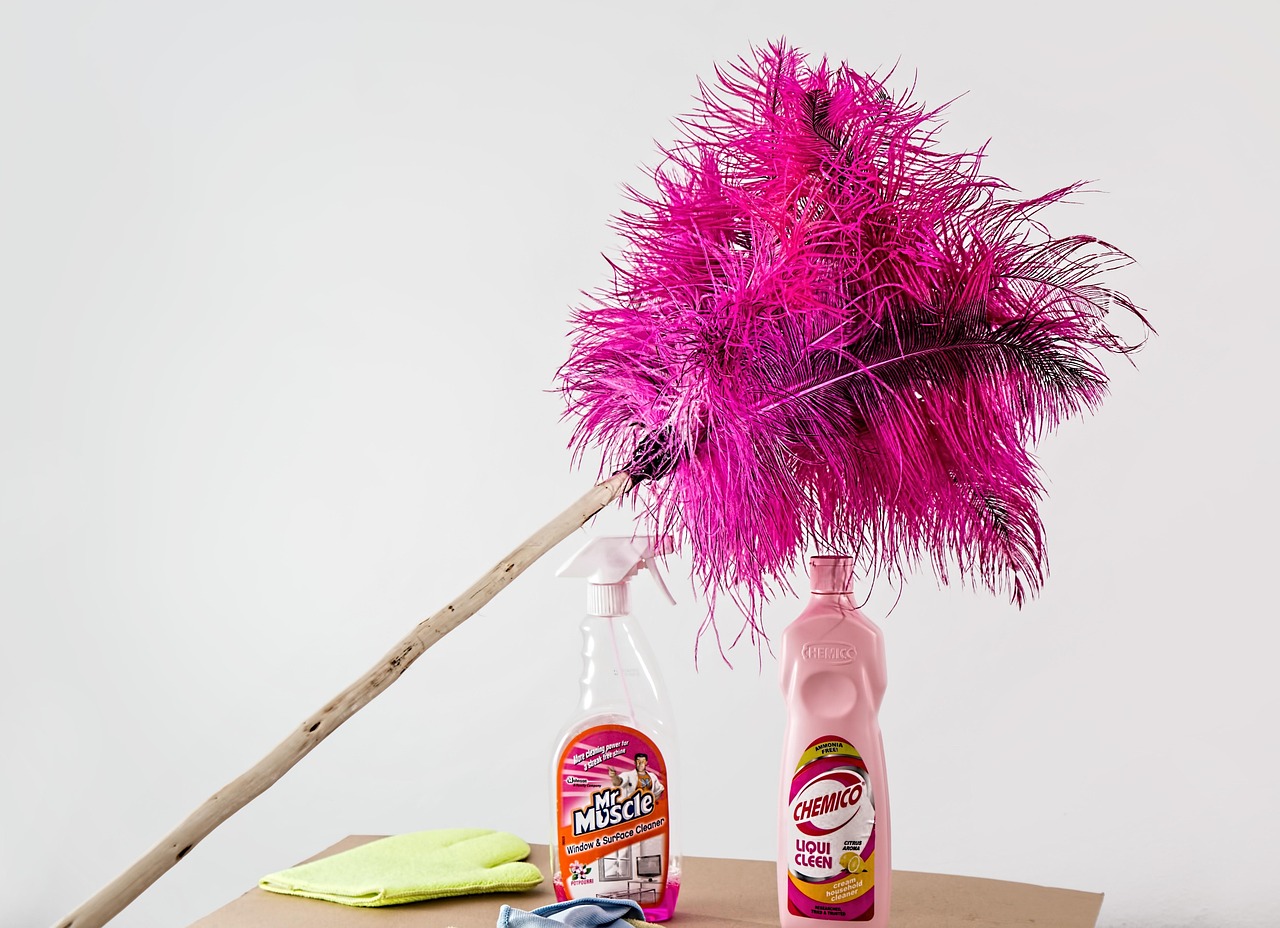 feather duster 709124 1280